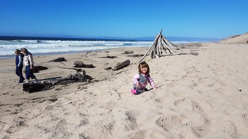 Pacific coast beach with dunes, California
