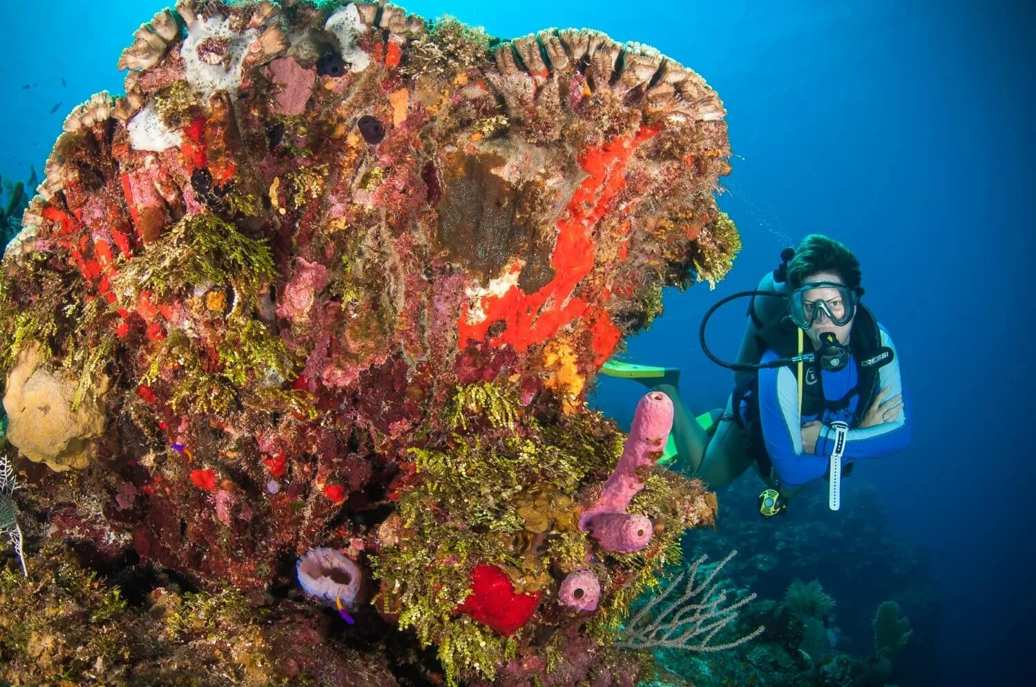Diver on a Roatan reef — recent dive experience before an IDC is essential