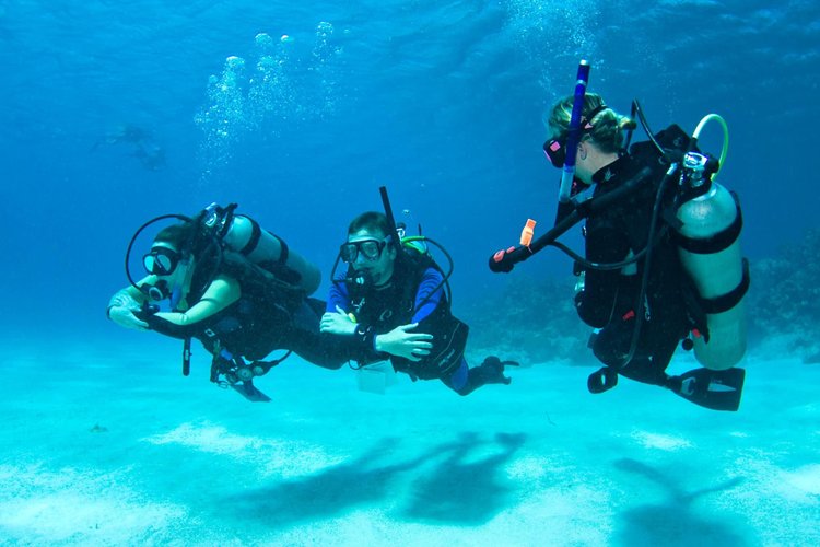 PADI IDC training session in Roatan