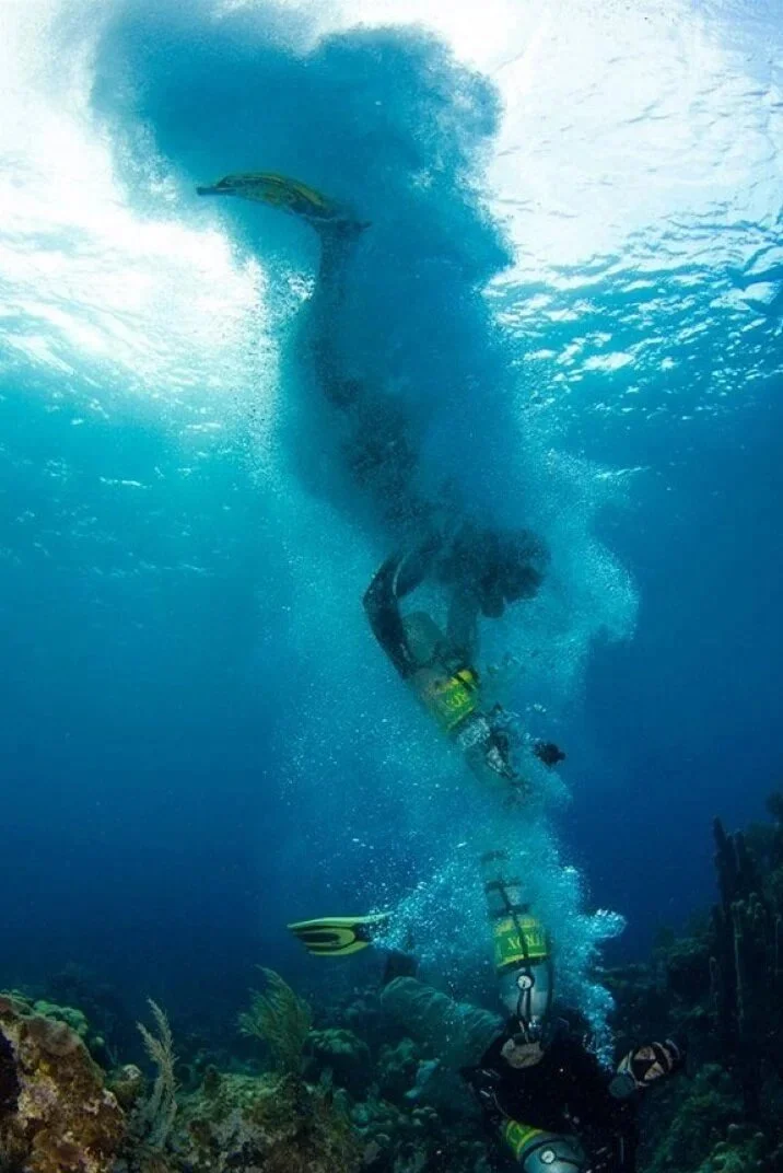 PADI IDC Package with 5 Specialty Instructor Certs and Accommodation