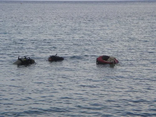 A dog sitting in a diver's surface float in Roatán