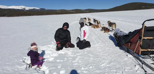 Dogsled team on a snowfield, Colorado