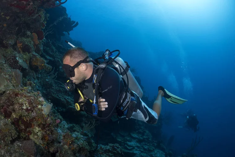 Go Pro PADI Divemaster and Instructor training in Roatan with Go Pro Caribbean