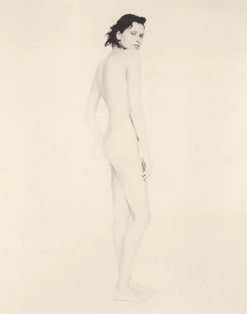 Reference: nudi_roversi_4-480x611