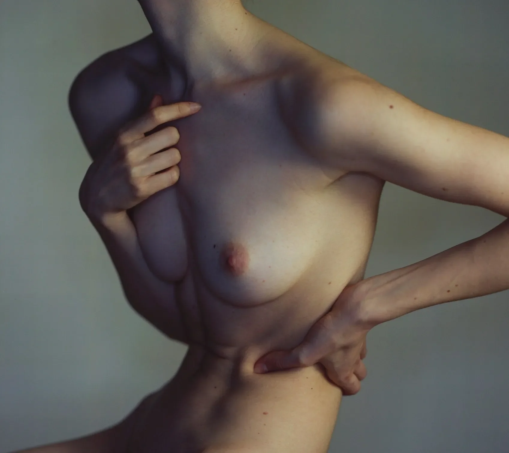Reference: Richard Learoyd — Untitled , Nude , 2020