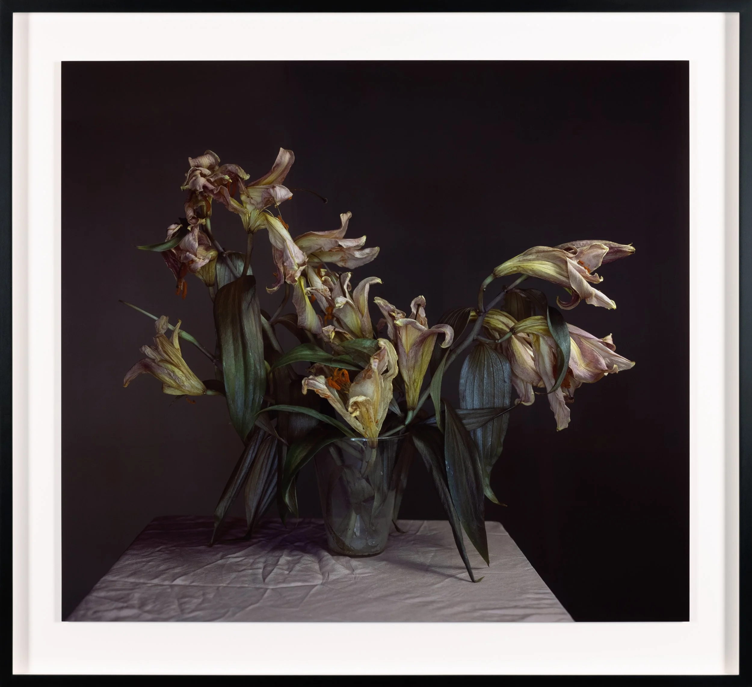 Reference: 3.-Learoyd_Lilies-pink-plinth-2021-1024x987