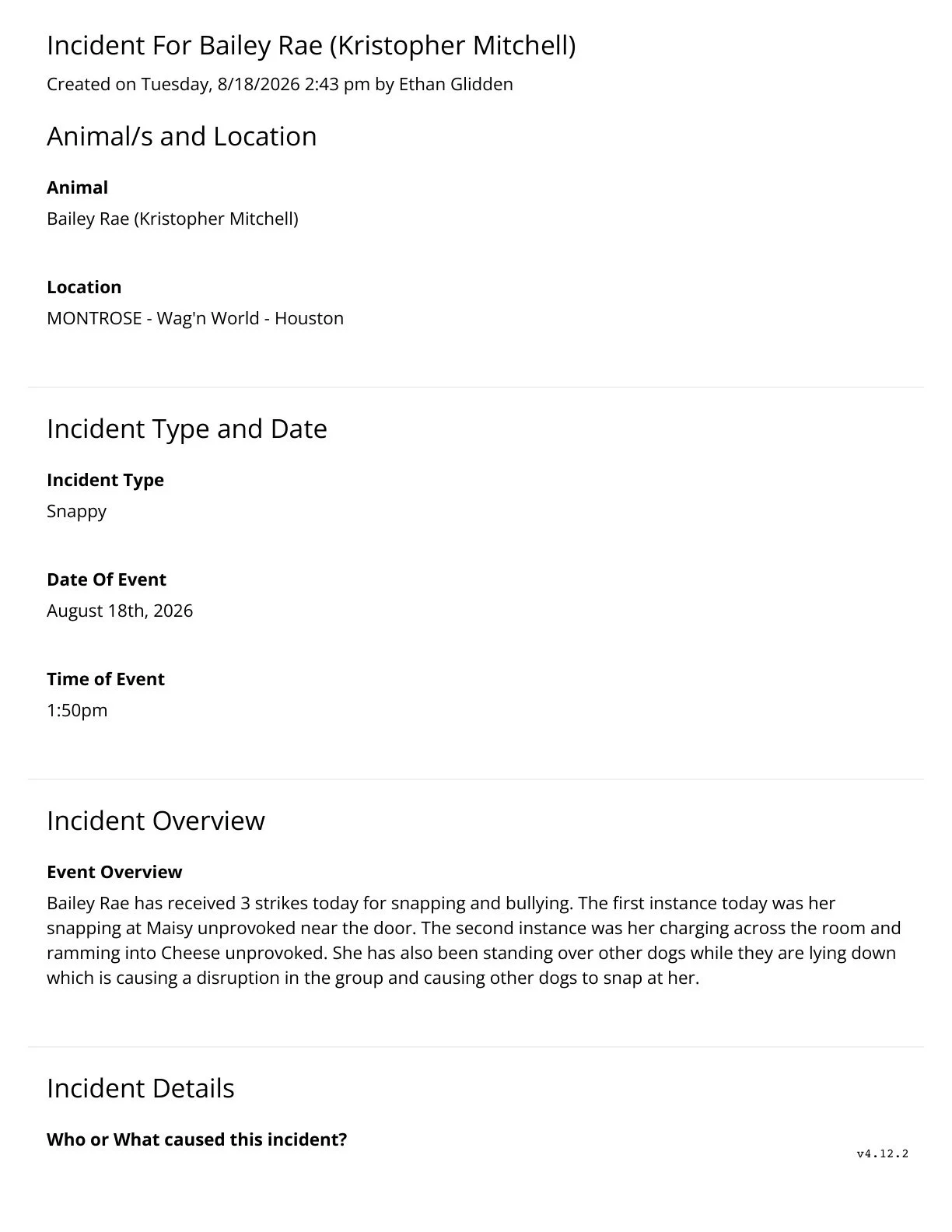 Incident report — redacted document, page 1 of 2