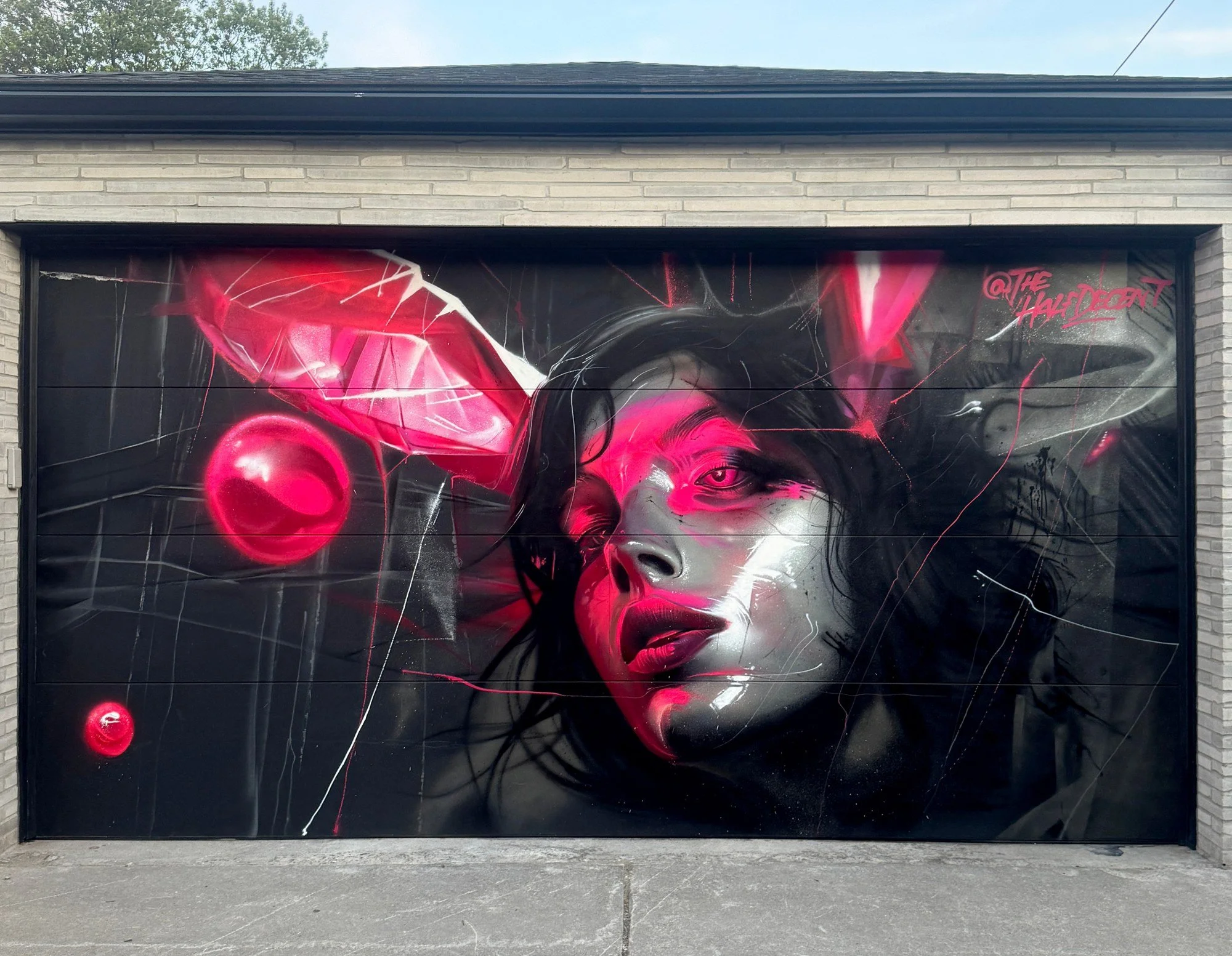 Vivid pink and black portrait painted on a private garage door