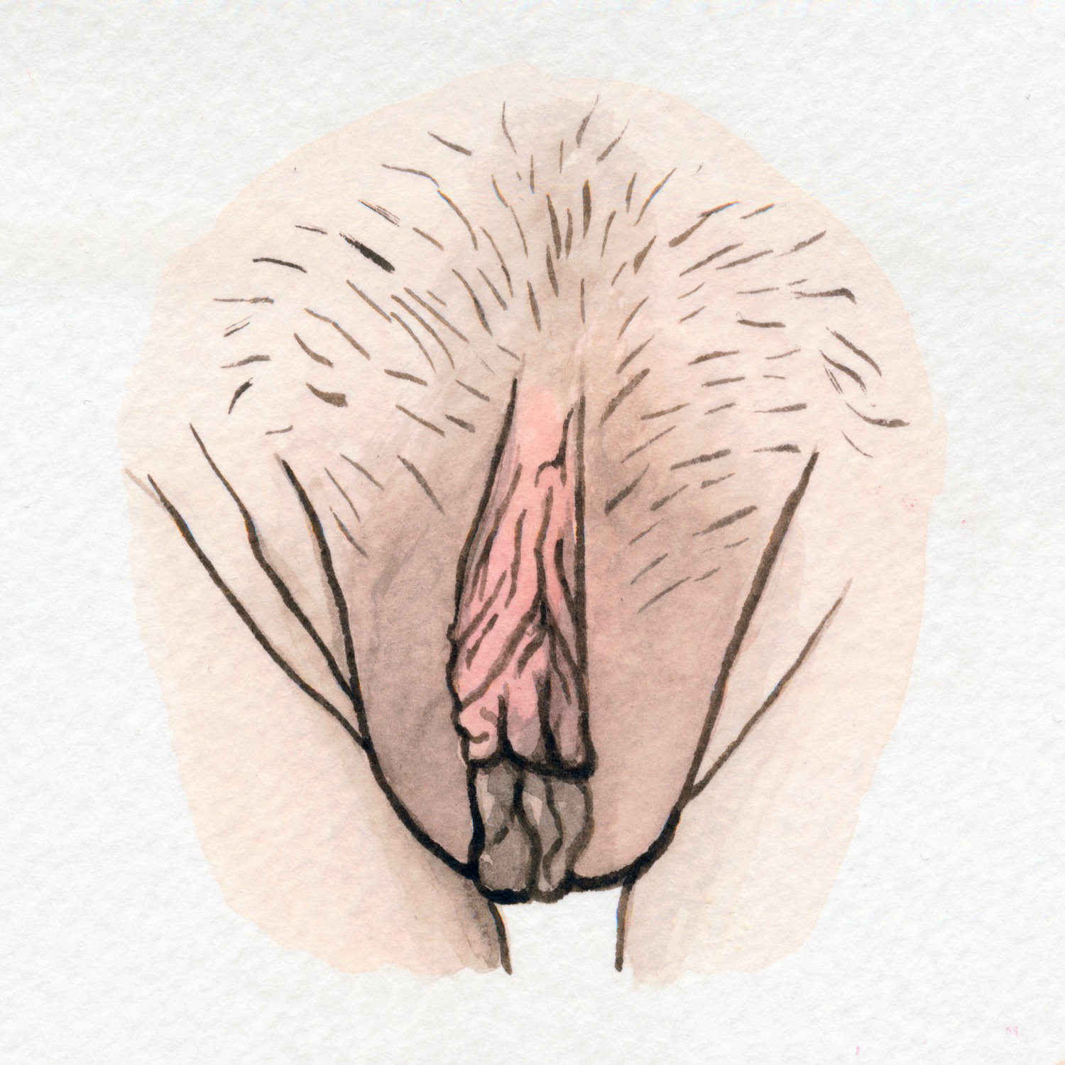 I THINK IT'S ADORABLE - The Vulva Gallery.