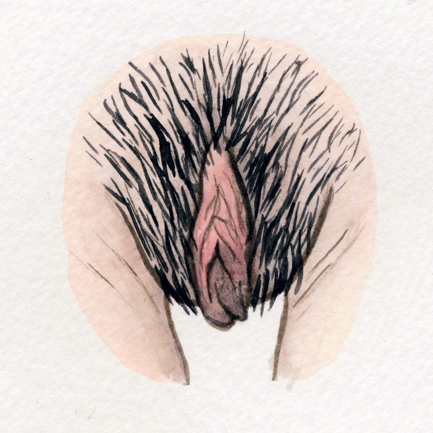 BEAUTIFUL AND STRONG - The Vulva Gallery.