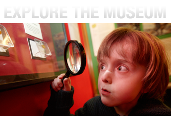 A young visitor exploring dinosaur displays
