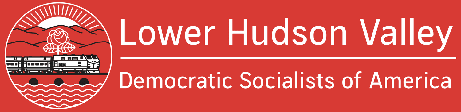 Lower Hudson Valley DSA