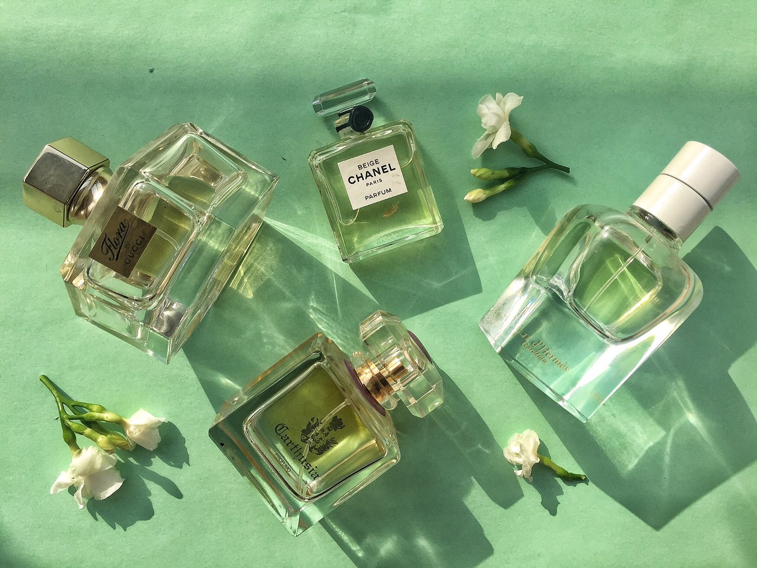 CHANEL. ..PARISLUXE.  Perfume, Green aesthetic, Fragrance