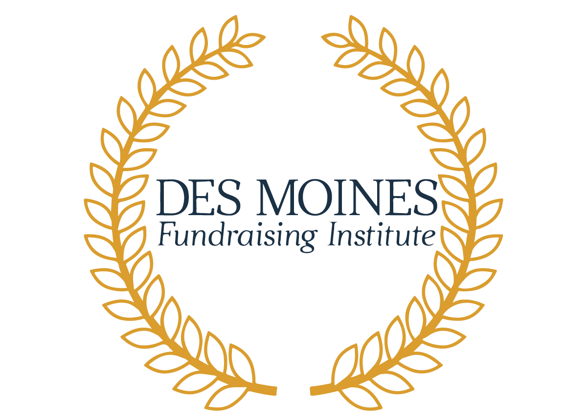 DSMFI logo