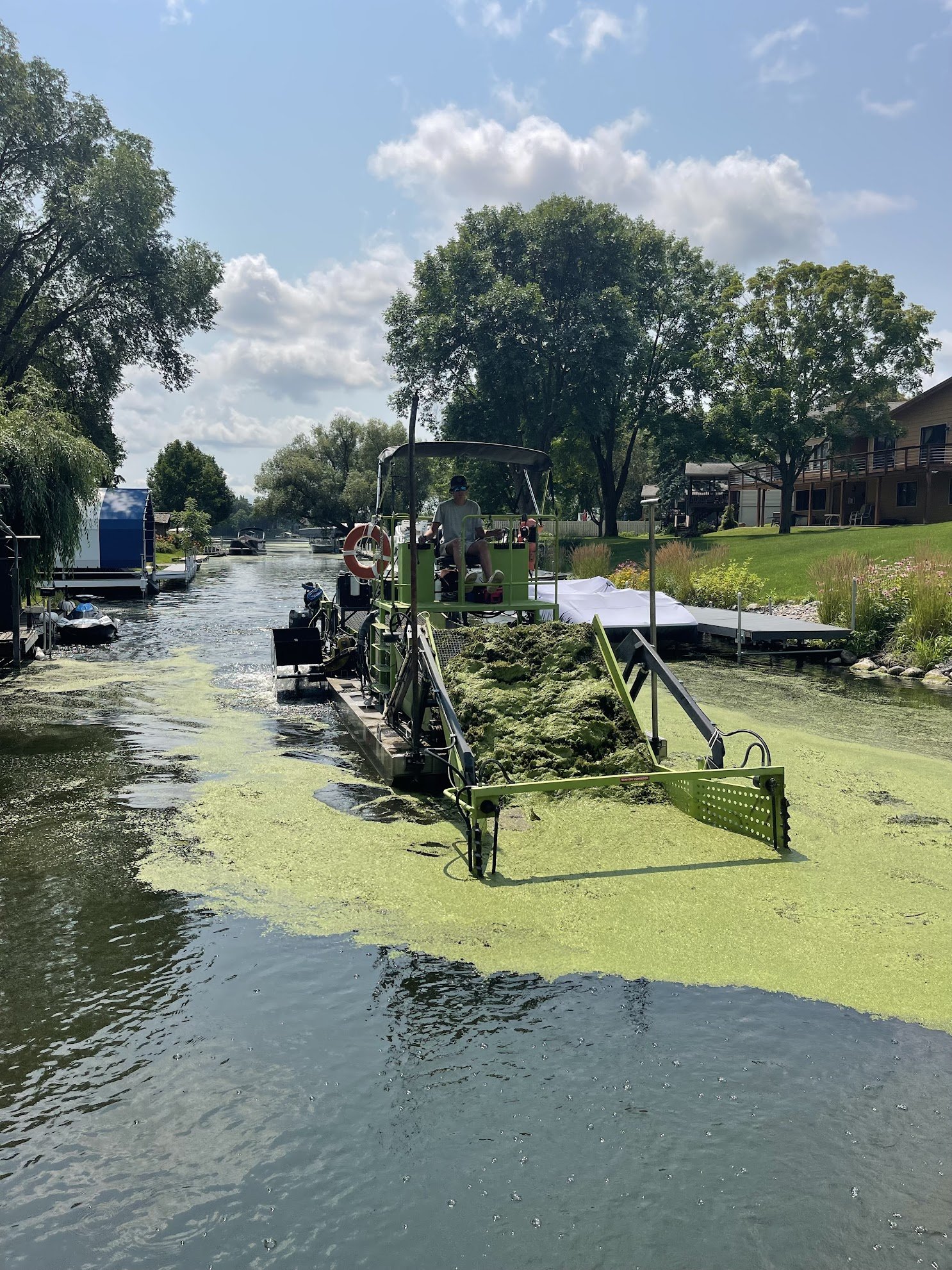 Residential dock before weed removal