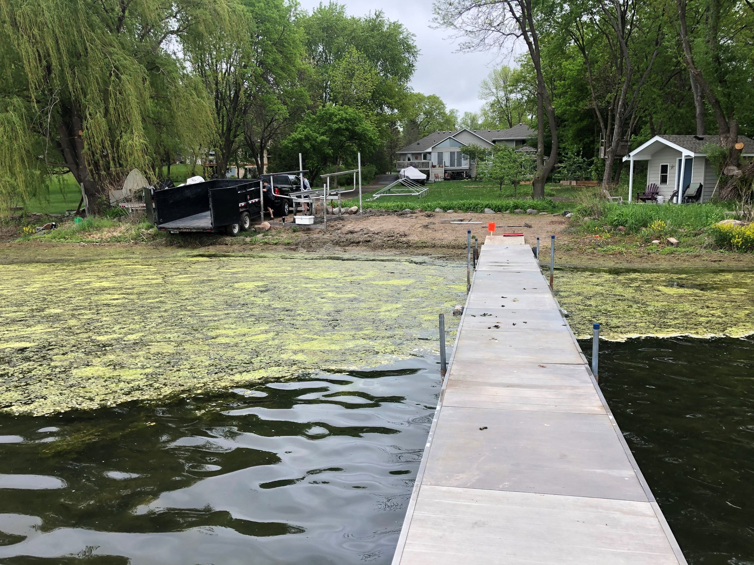 Lake shore before weed removal