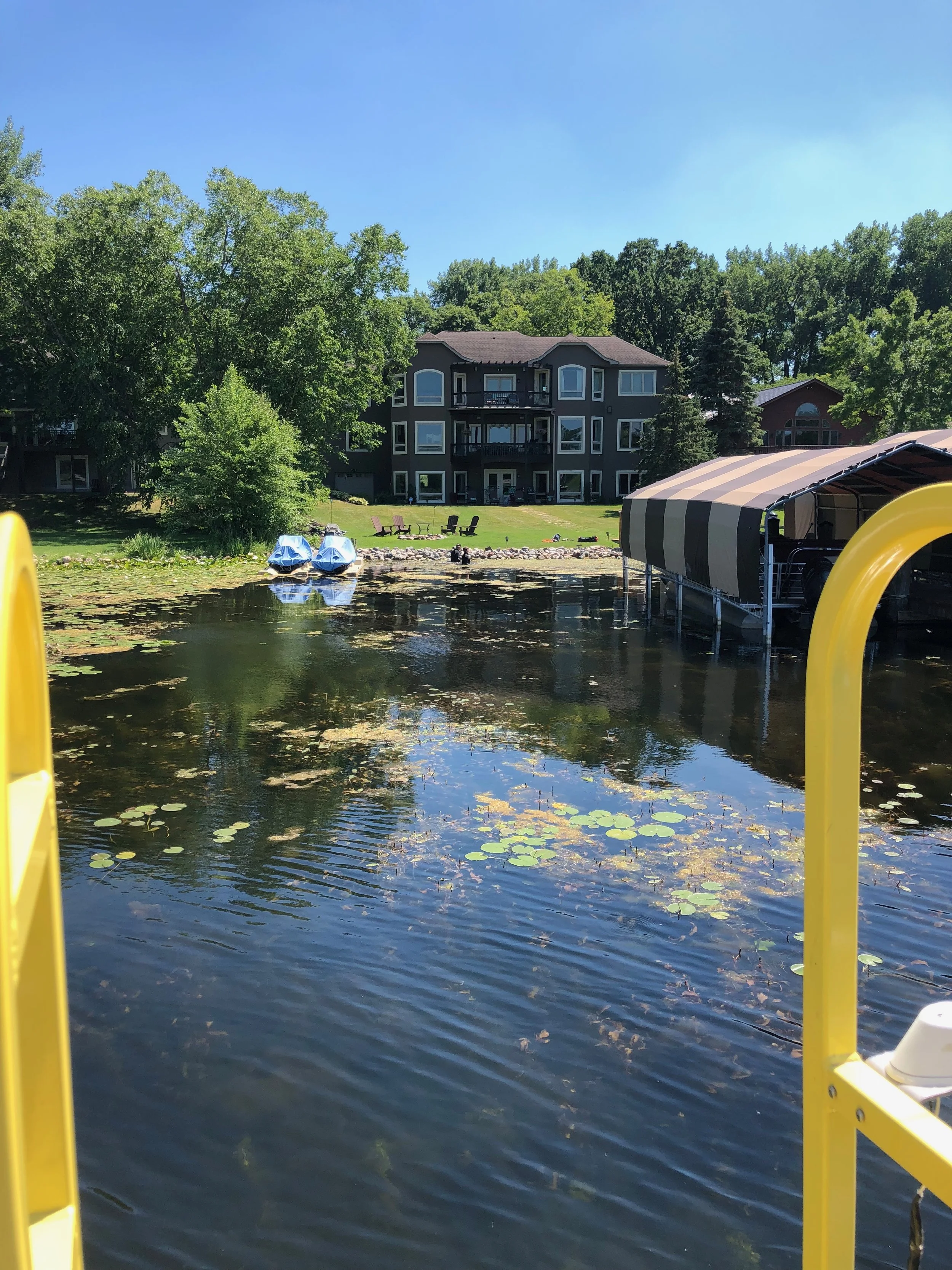 Lake property before treatment