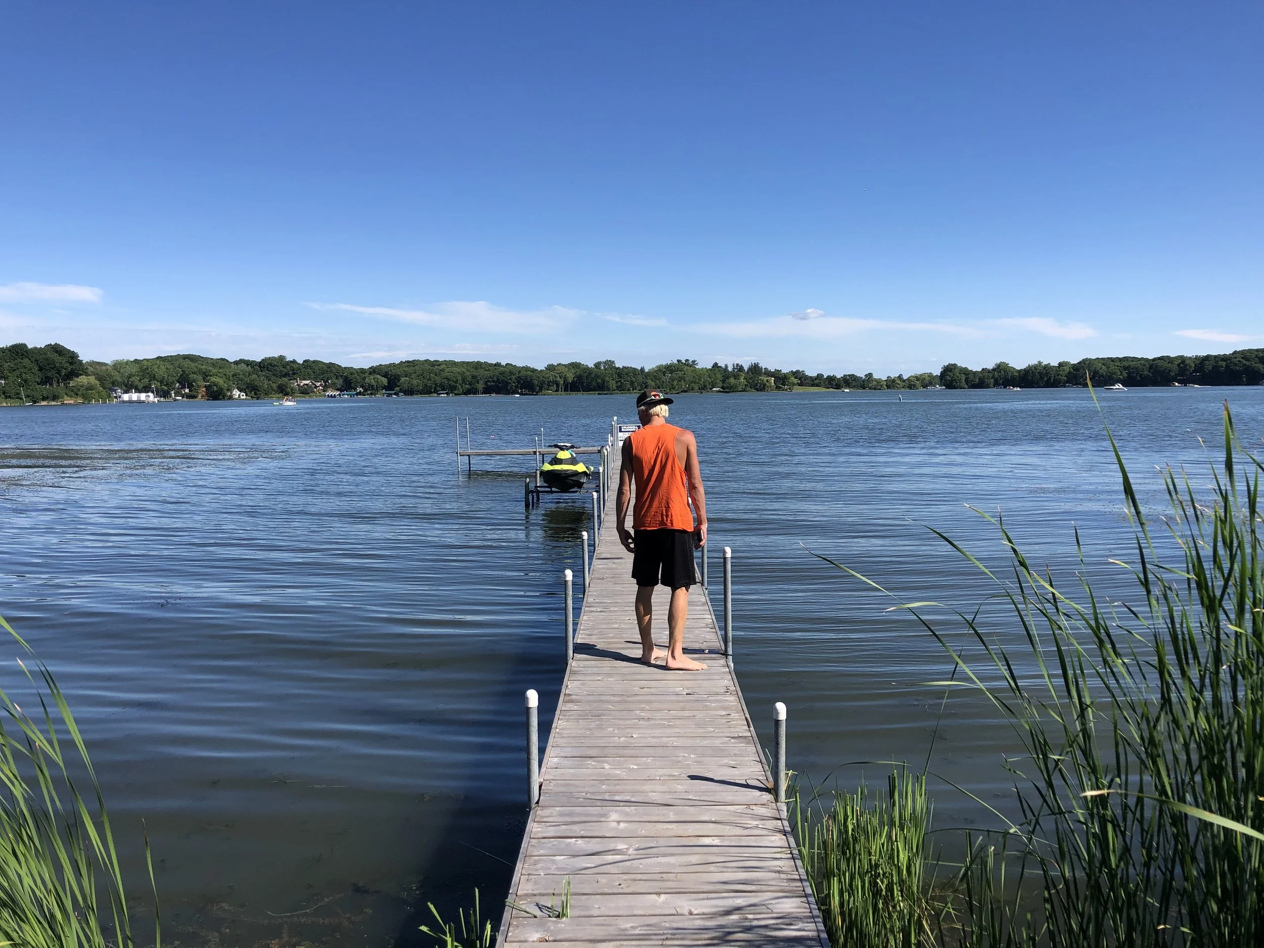 Lake shoreline after weed removal