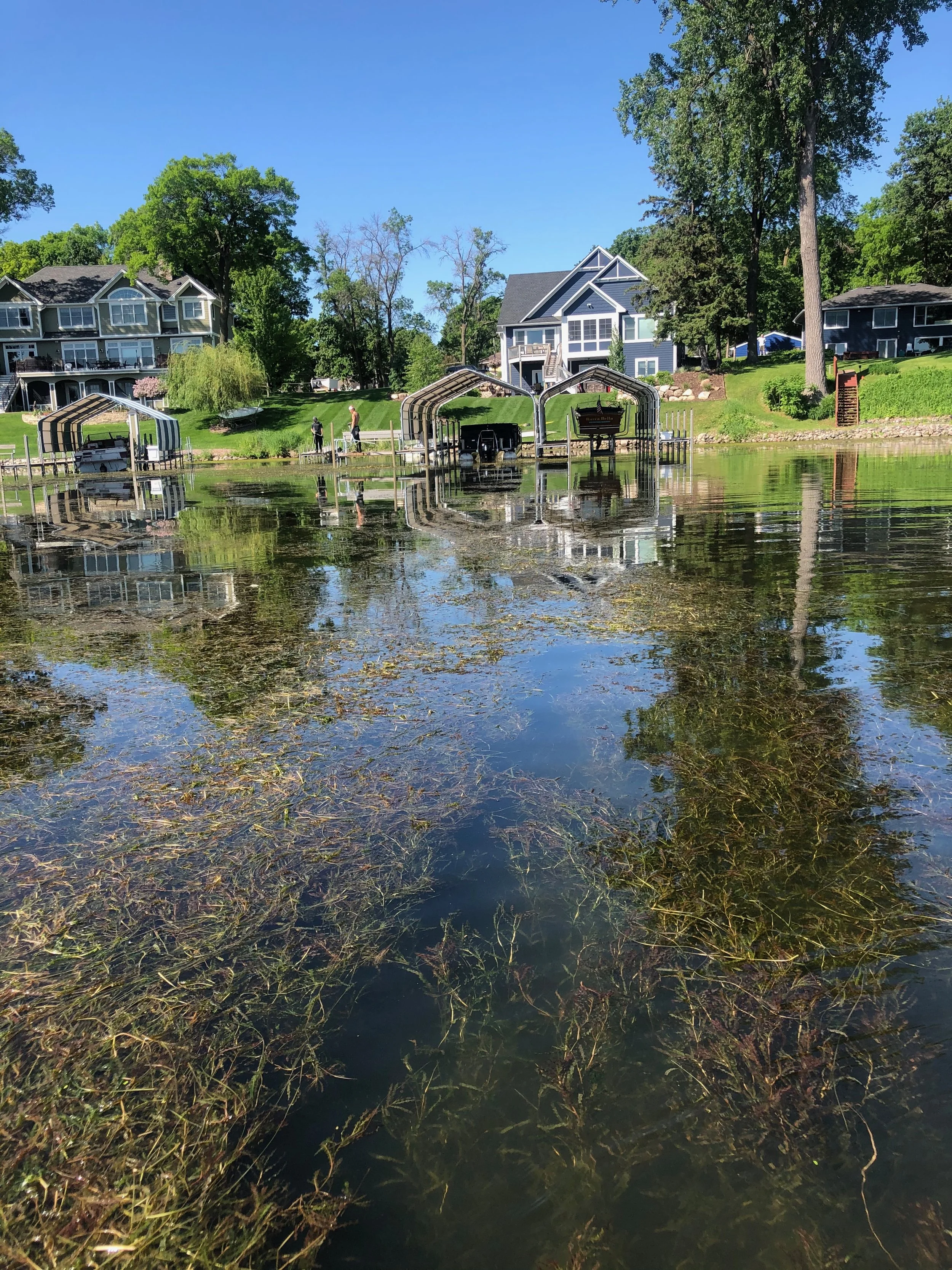 Lake before harvesting