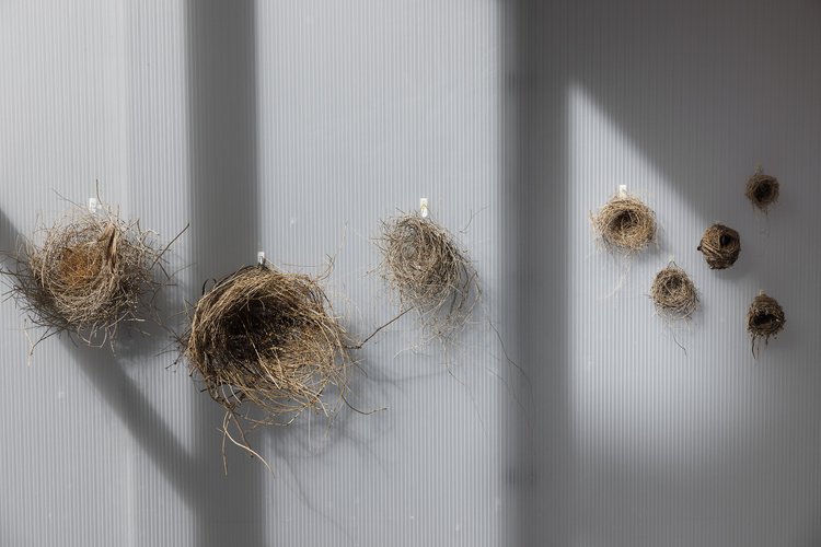 Featherston Studio