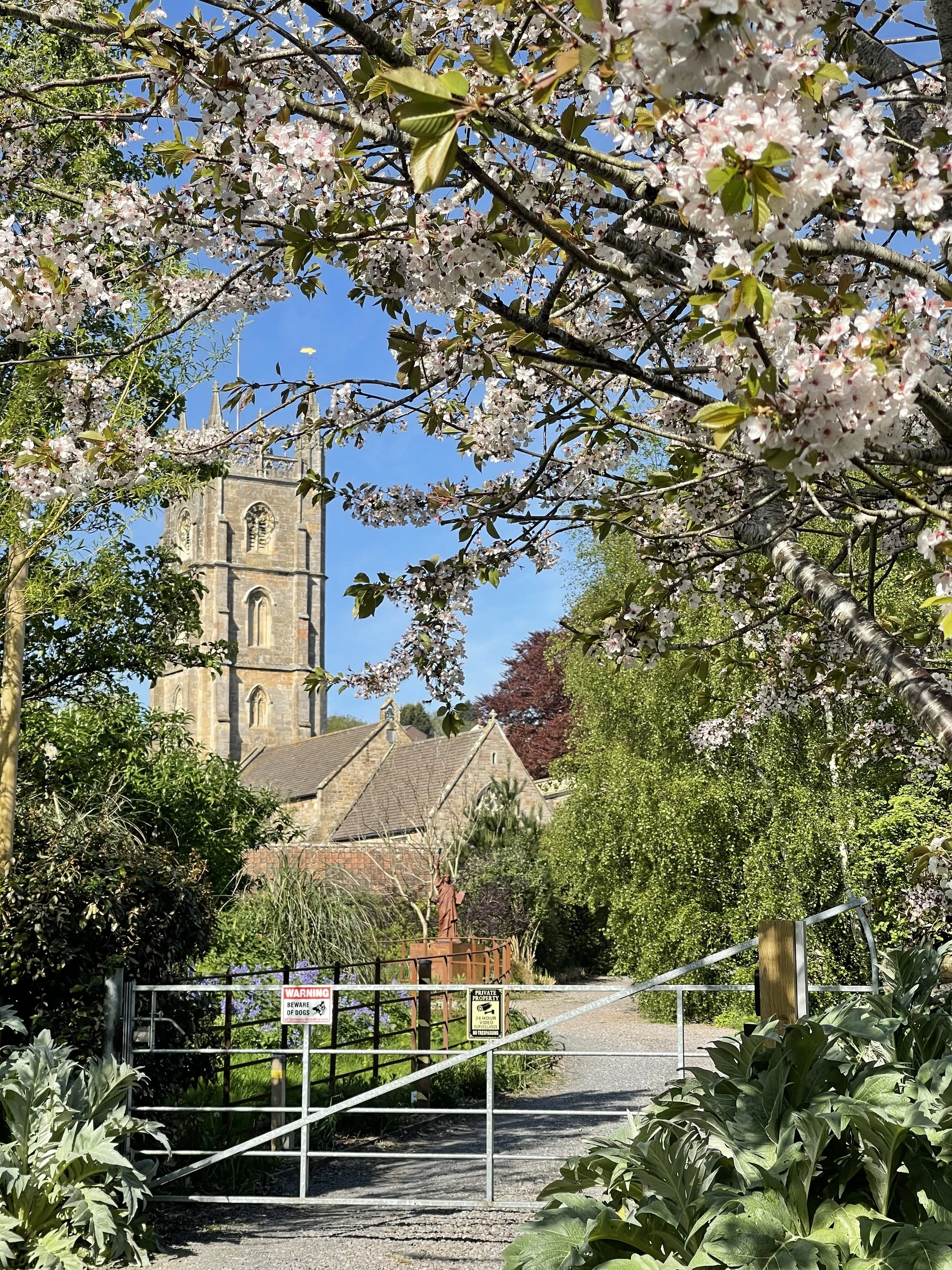 Court House Farm gardens