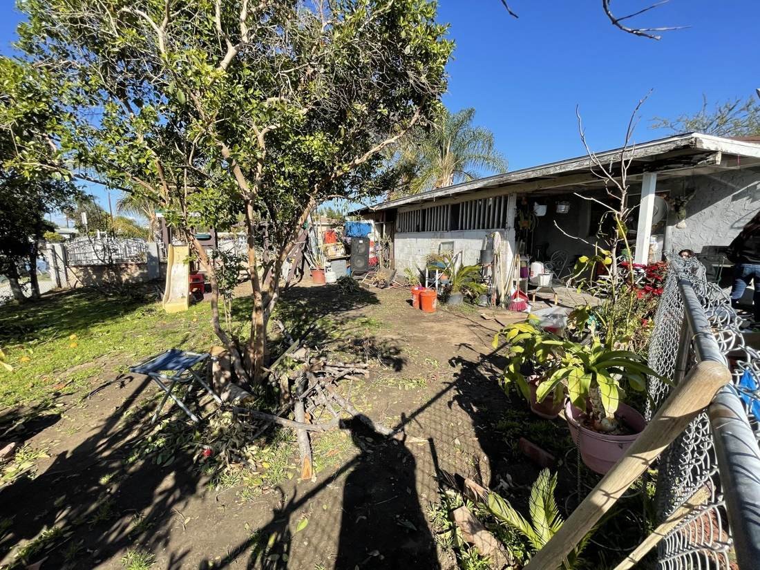 Back yard.