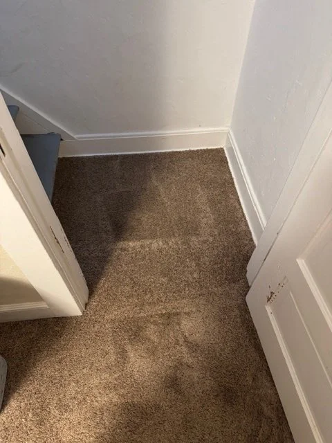Pet damage carpet after repair Portland