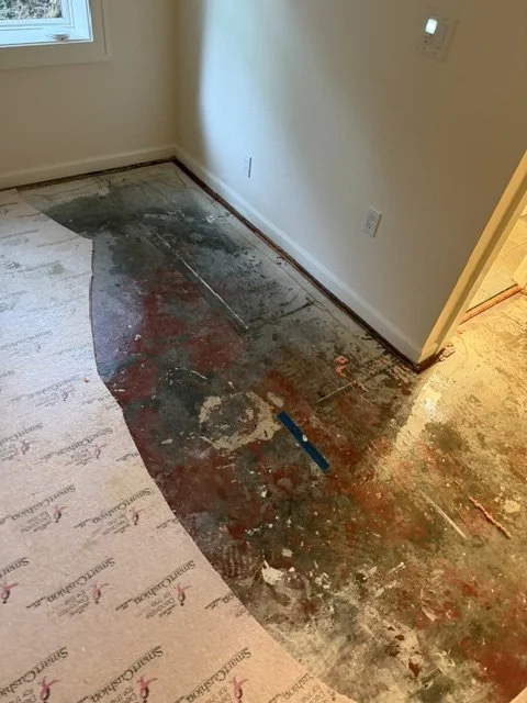 Wet carpet pad removed from the subfloor in a water-damaged Lake Oswego room