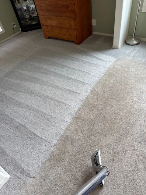 Carpet before cleaning Portland