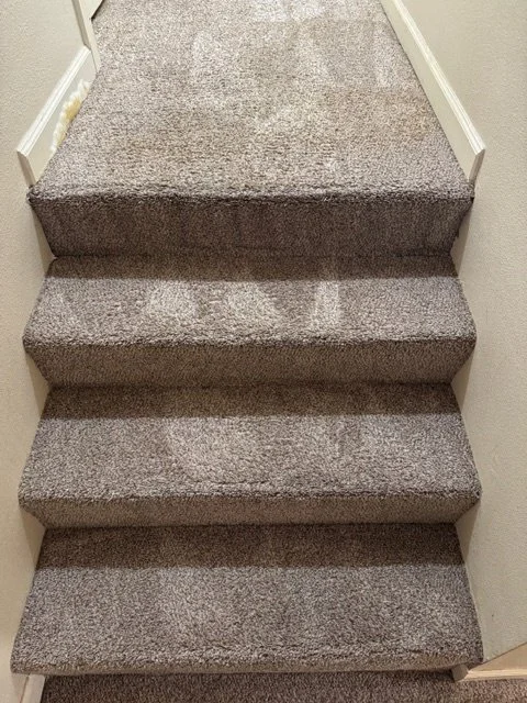 Stair carpet cleaned