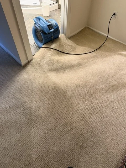 Air mover drying water-damaged carpet in a Lake Oswego home