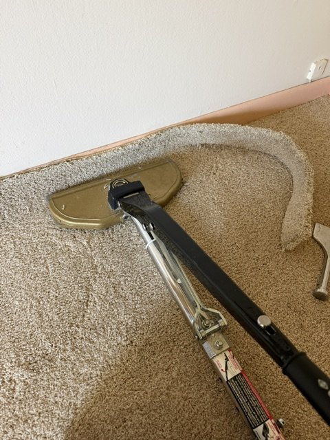 Power stretcher head pulling carpet tight to the wall over a wood subfloor in a Portland home