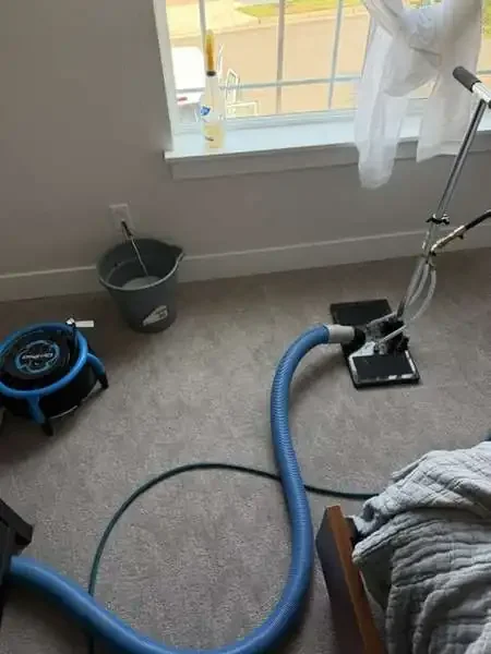 Water claw and air mover drying carpet after pet urine flush treatment