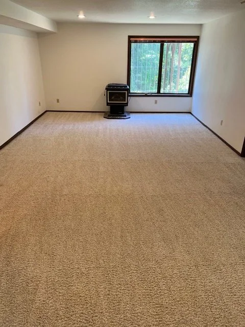 Carpet after pet urine treatment
