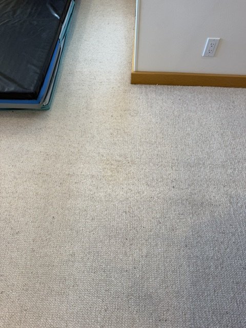 Same carpet after orange soda stain removal by Carpet Surgeon, Portland OR