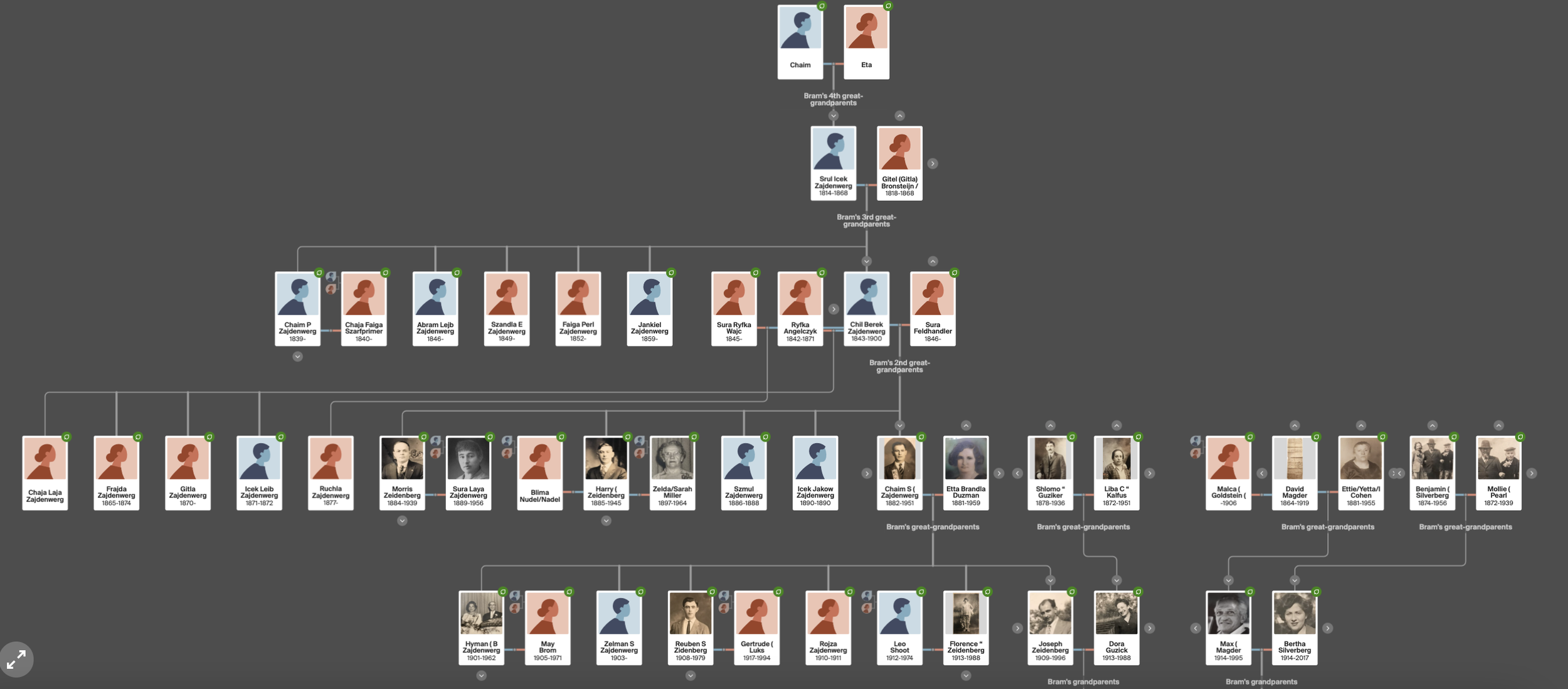 Bram Zeidenberg Forensic Genealogy Tree Structure