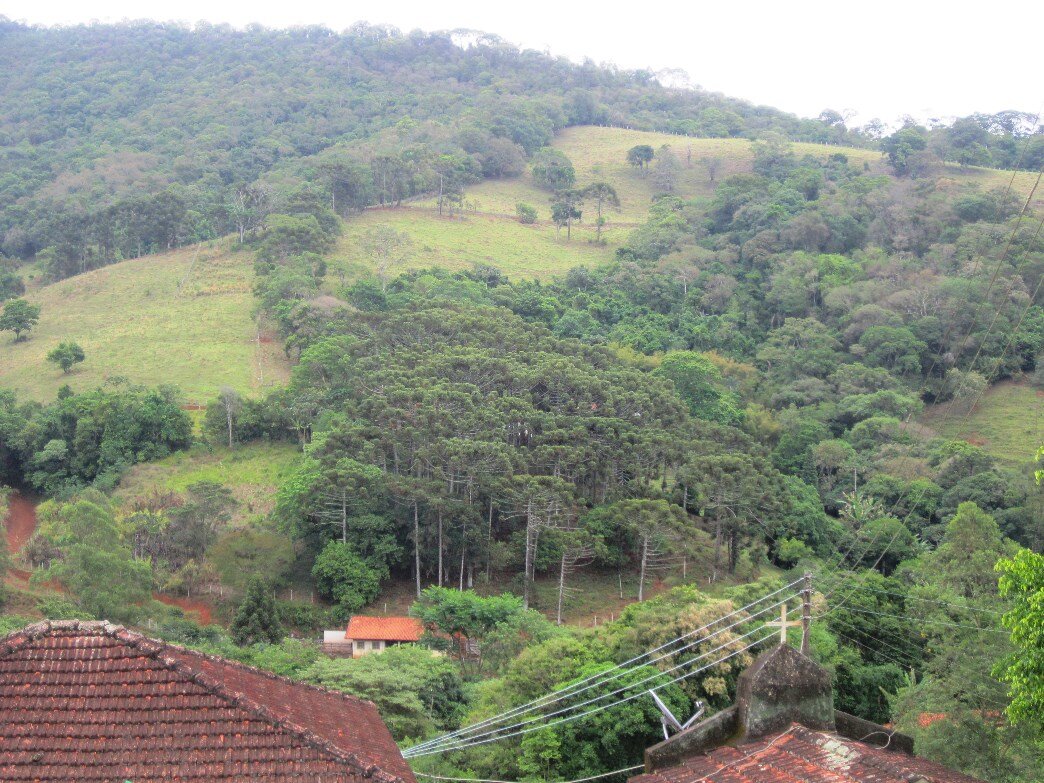 Rural Community in Brazil Revives Thousands of Acres of Watershed by Paying Farmers and Ranchers to Restore Ecosystem Services - Living Architecture Monitor magazine