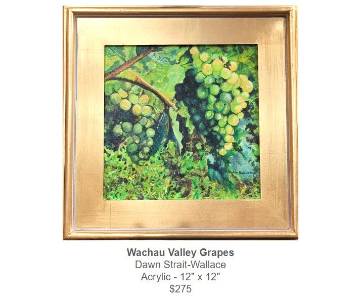 Wachau Valley Grapes