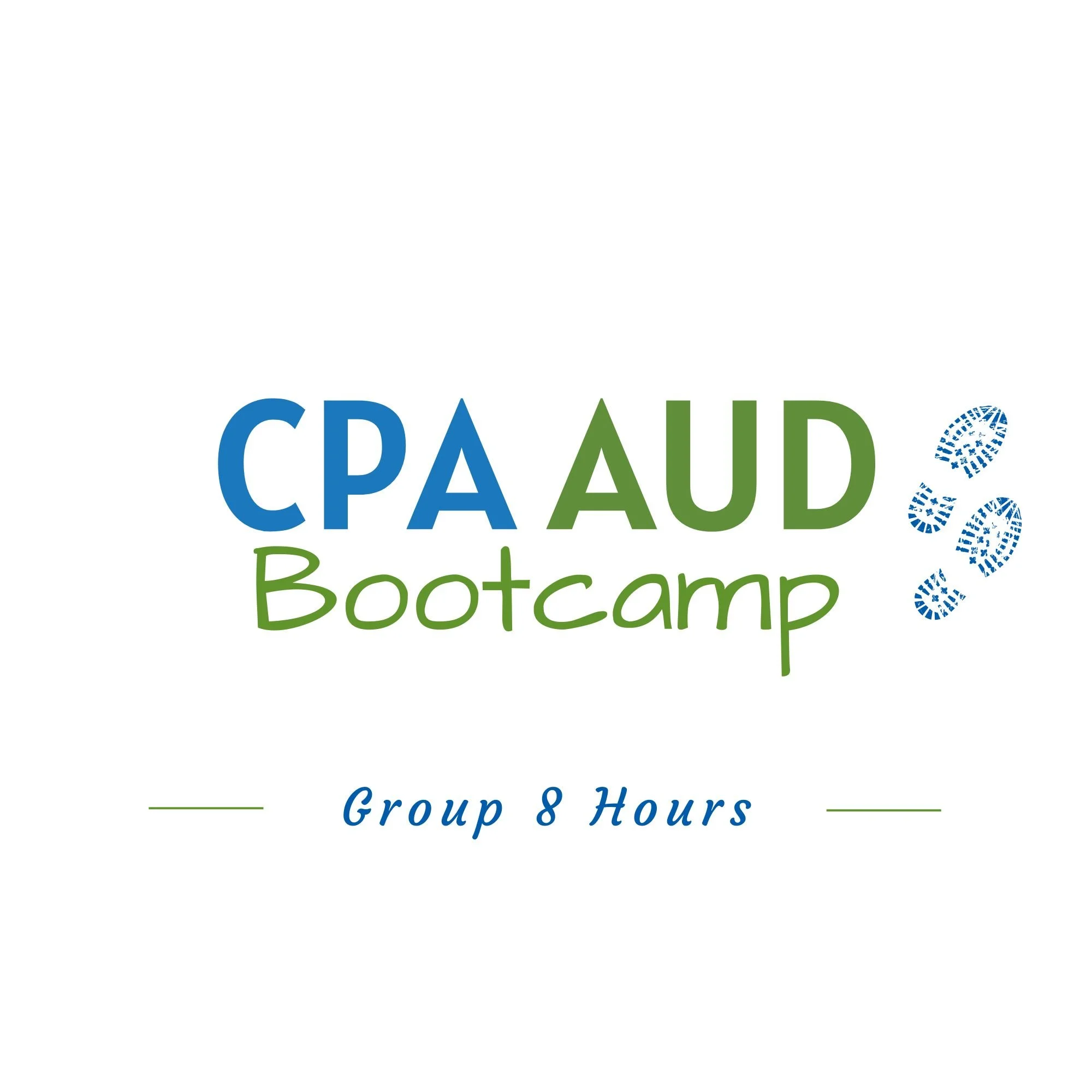 CPA AUD Boot Camp