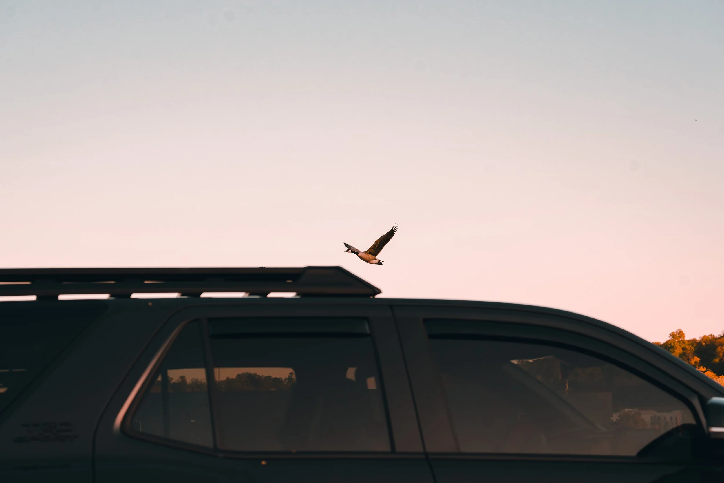 Silhouetted Toyota 4Runner at sunset with a bird flying overhead, photographed by Ian Jones of ISJDESIGNS for the Tamron 35-100mm review.