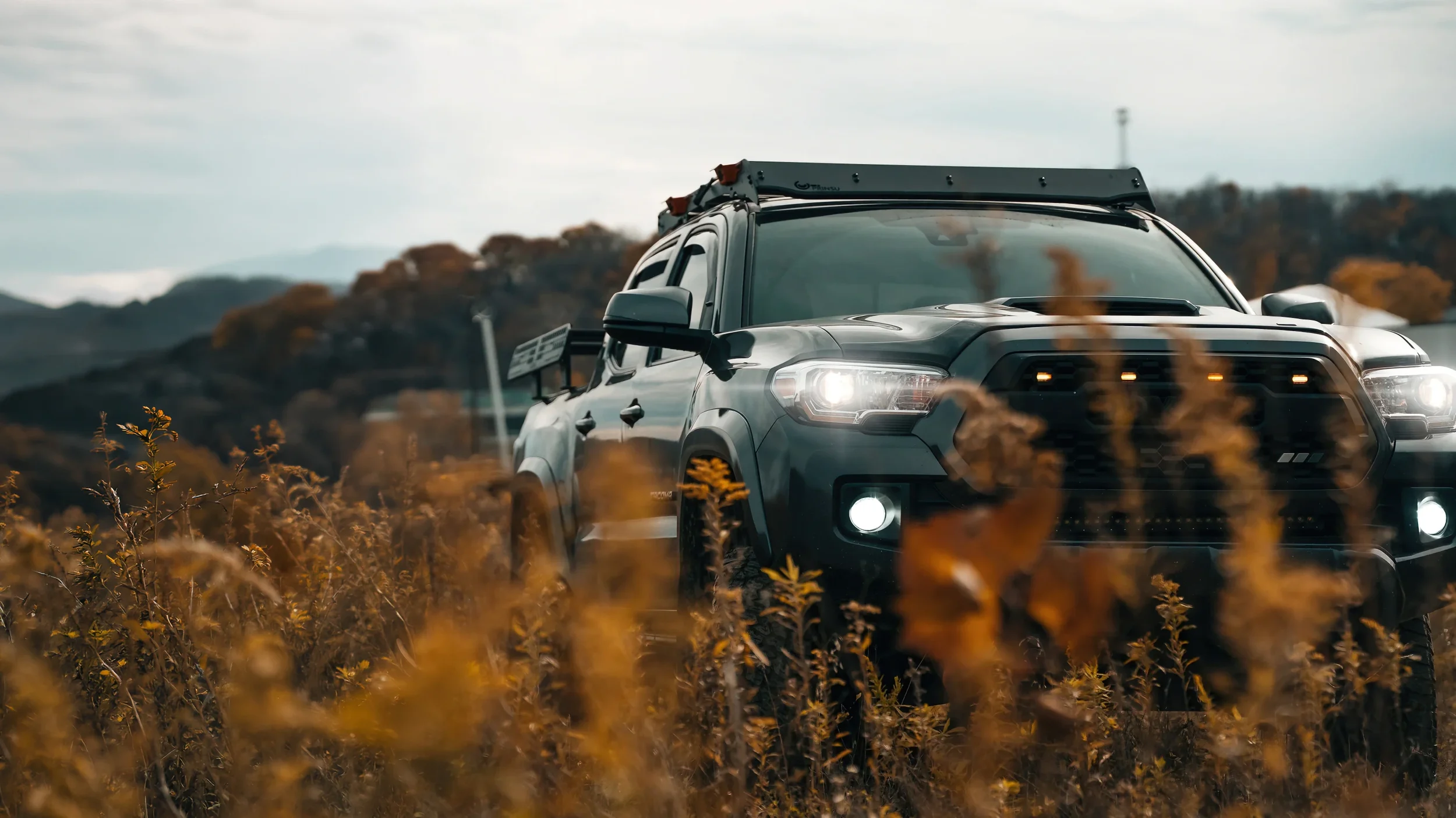 2019 Toyota Tacoma TRD Sport build photographed by Pittsburgh automotive photographer Ian Jones, showing a Prinsu roof rack, BillieBars bed rack, TRD Pro grille, raptor lights, and off-road hero stance in a golden field for ISJDESIGNS.
