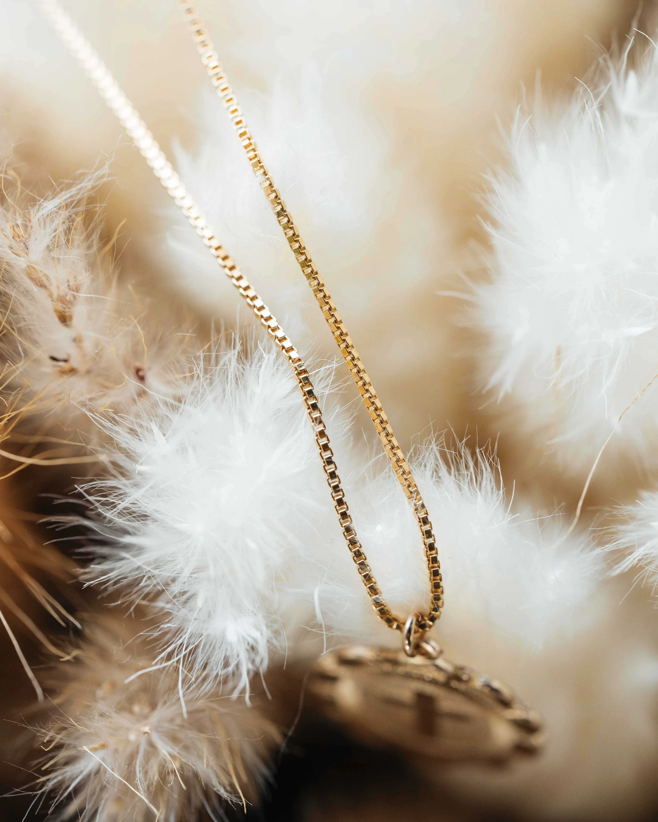 Gold box chain and pendant among dried florals, macro on the links at shallow depth. Ian Jones, ISJDESIGNS.