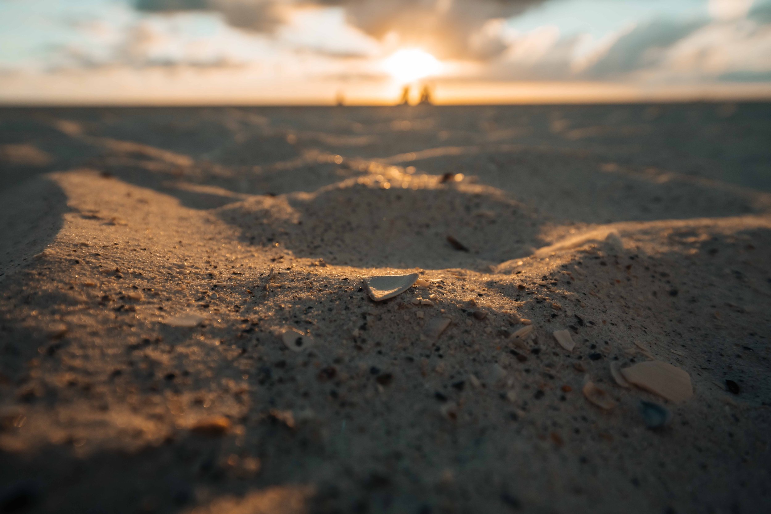 Shell fragments and rippled sand filling the foreground at close focus, with the setting sun glowing low across the beach behind them