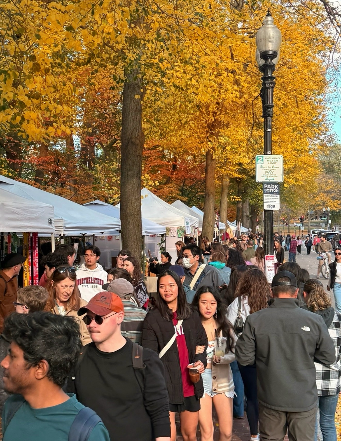 Boston Open Market, fall season