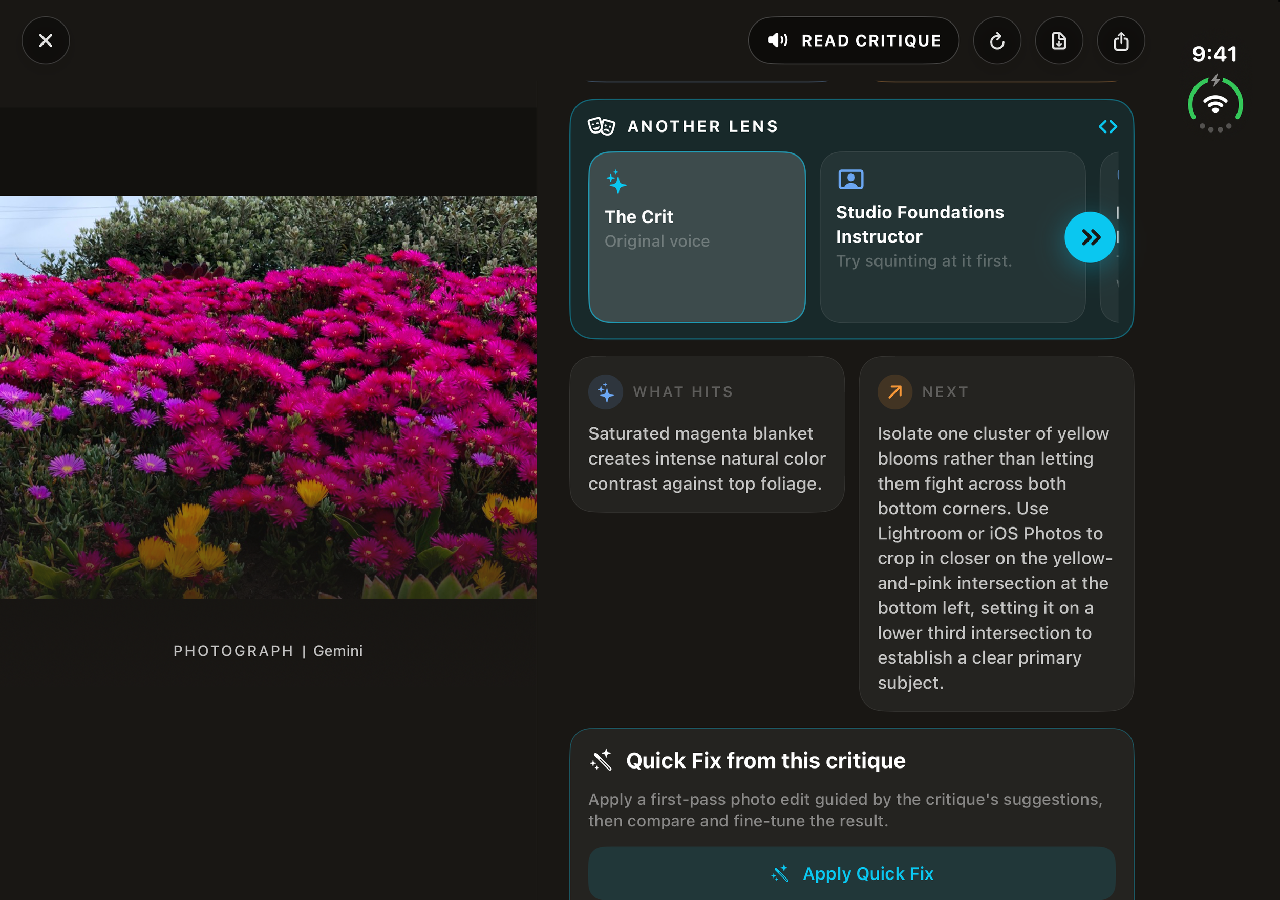 The Crit expanded layout with artwork beside detailed feedback