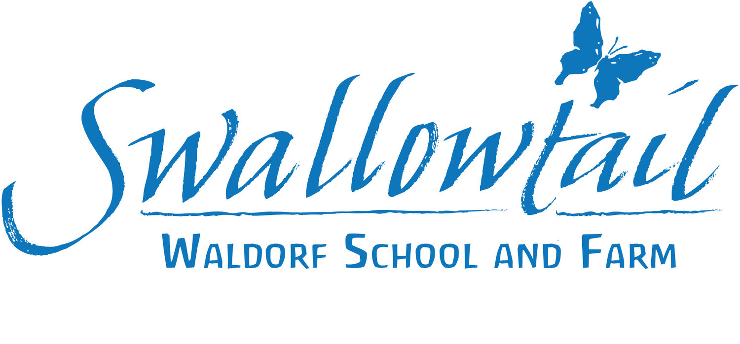 Swallowtail Logo