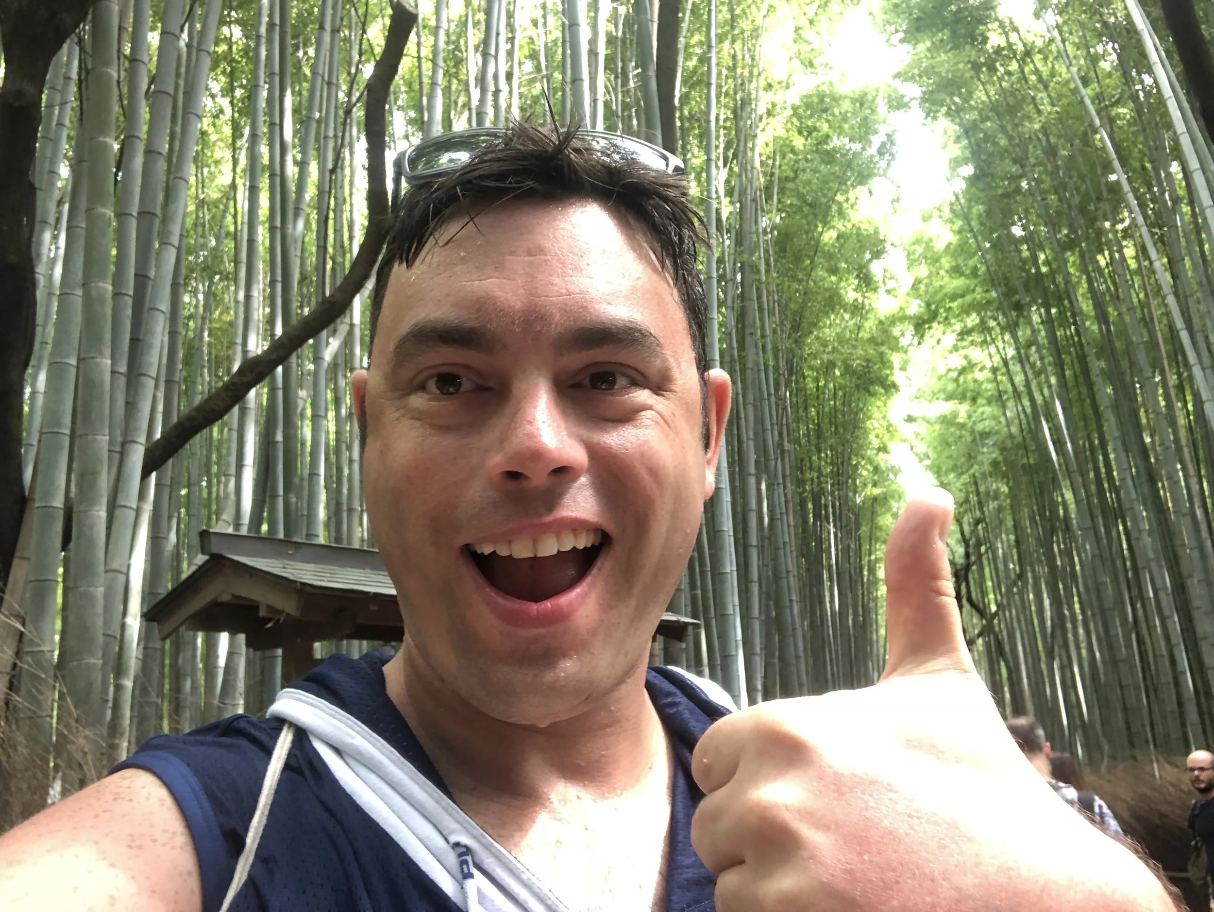 Arashiyama Forest, Japan