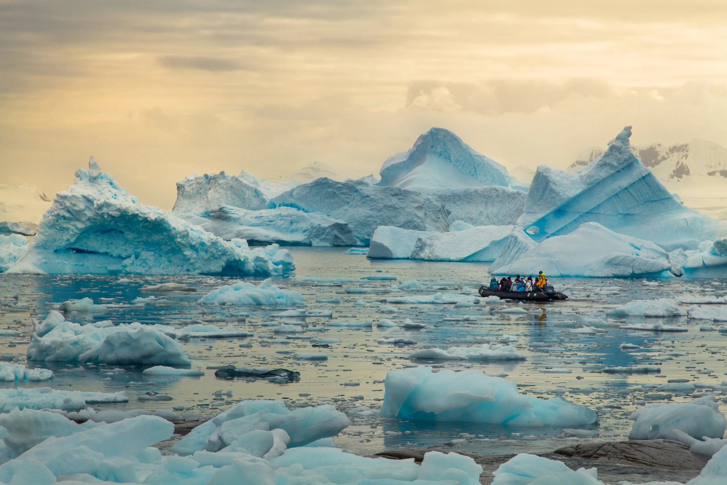 Expedition Cruising