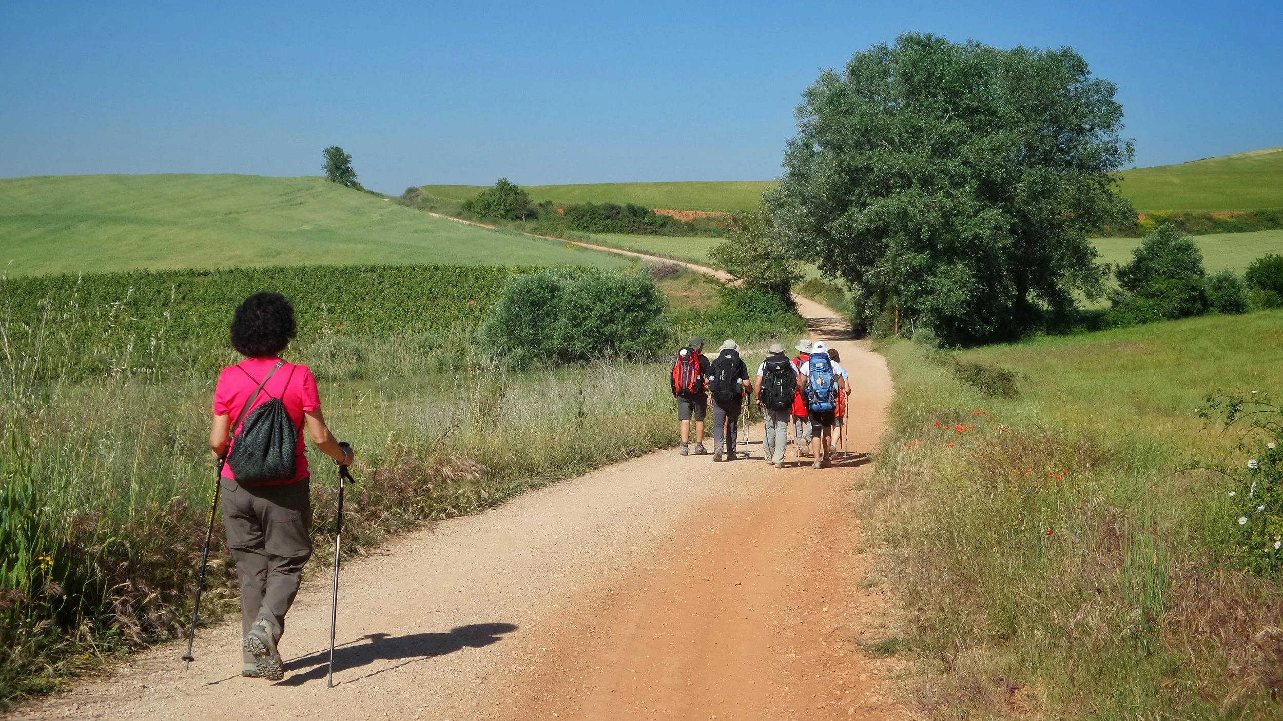 Walking & Cycling Holidays