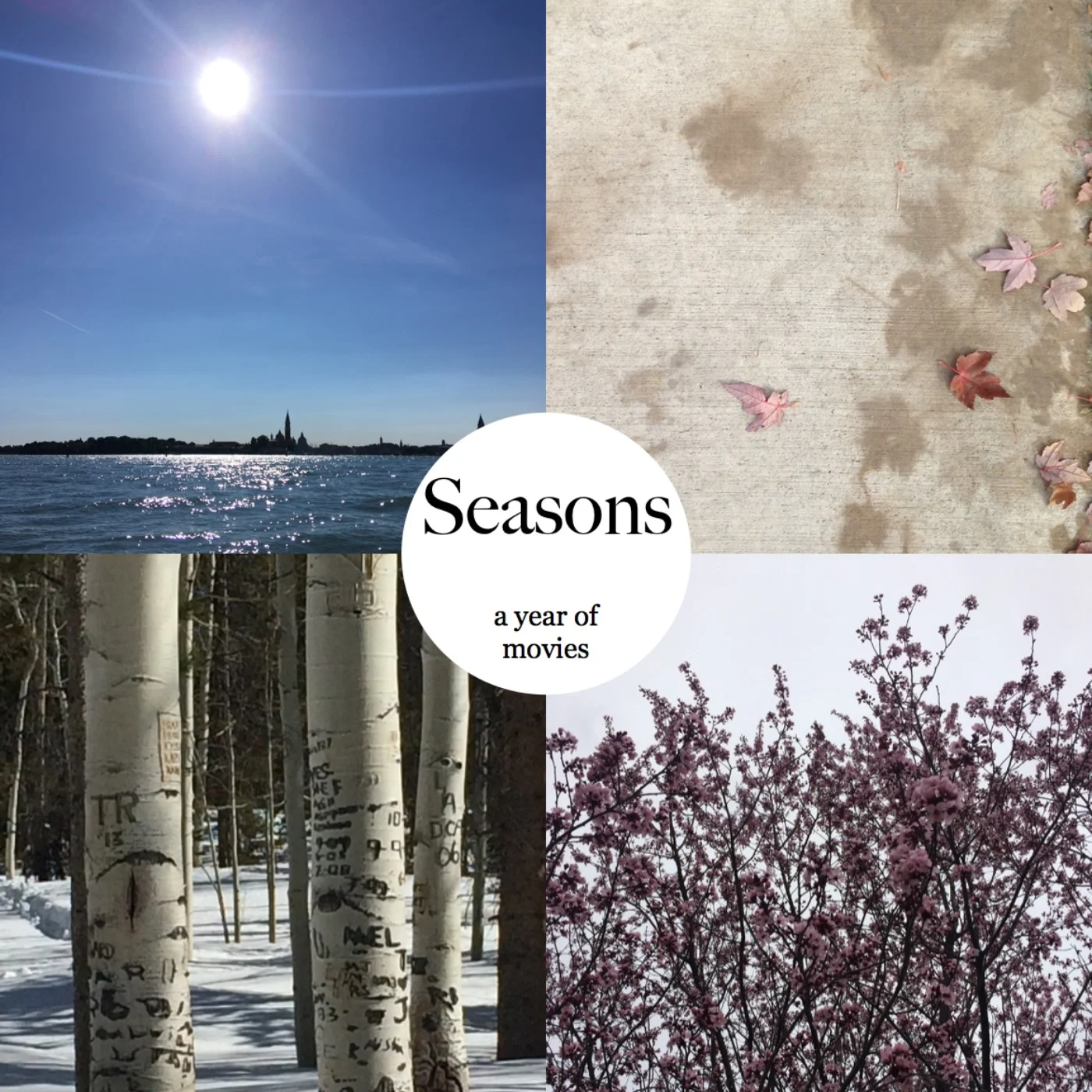 Seasons: A Year of Movies